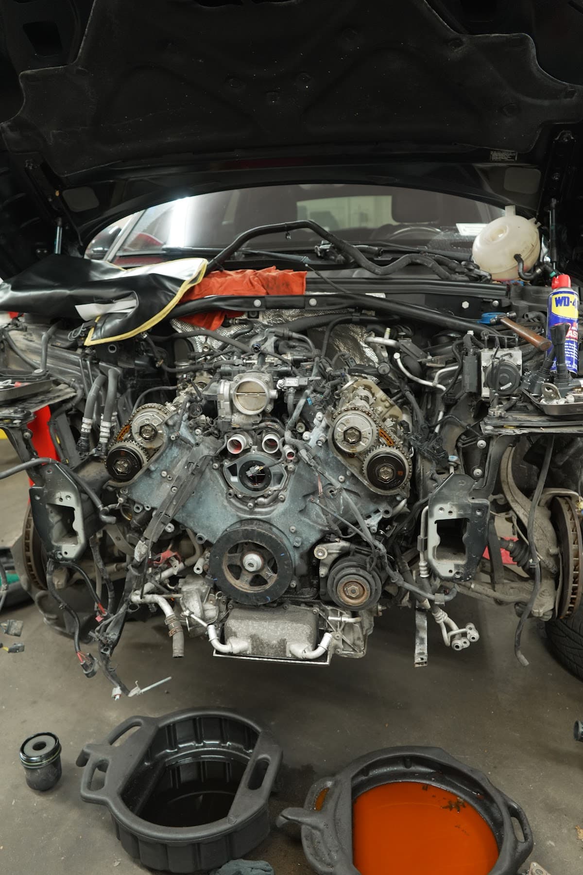 Bay Diagnostic thumbnail 3