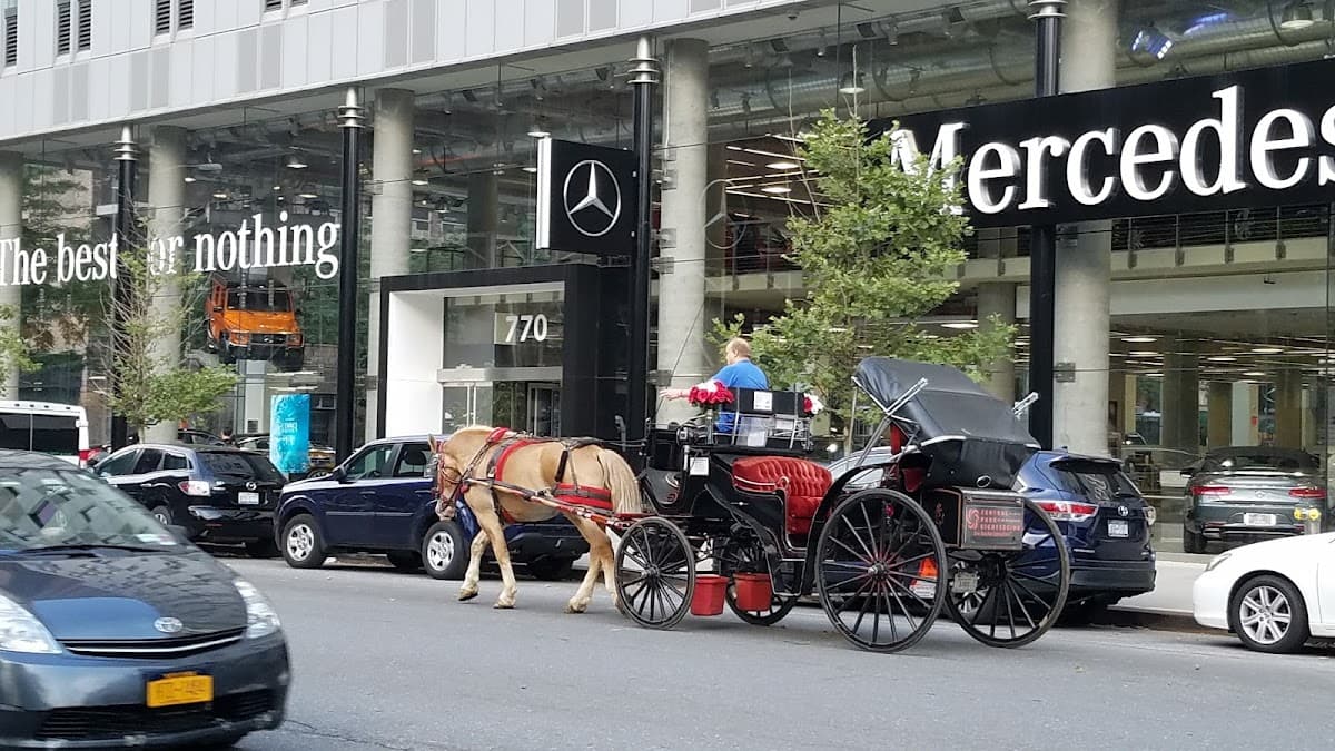 Mercedes-Benz of Manhattan, Mercedes-Benz specialist in Manhattan
