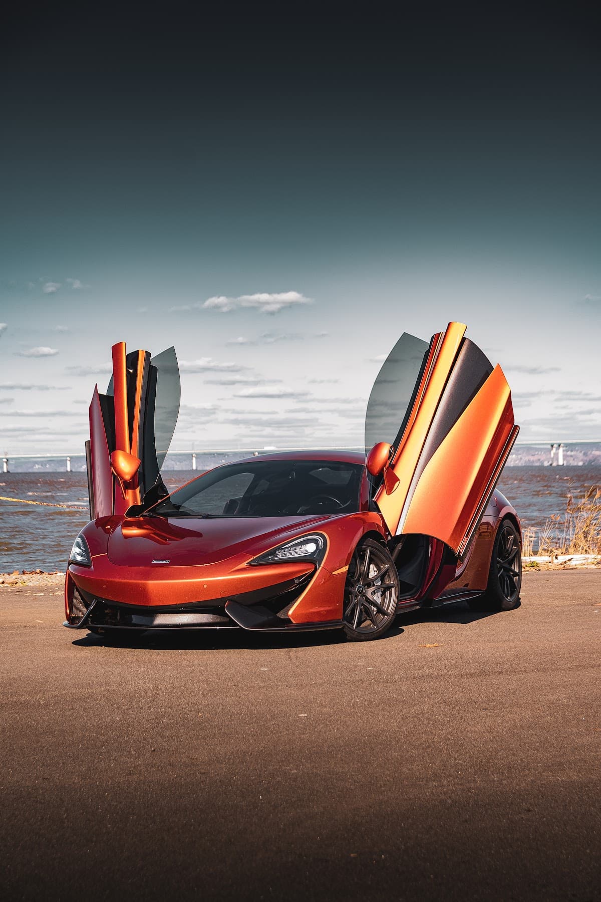 Veluxity Exotic Car Rental NYC thumbnail 4