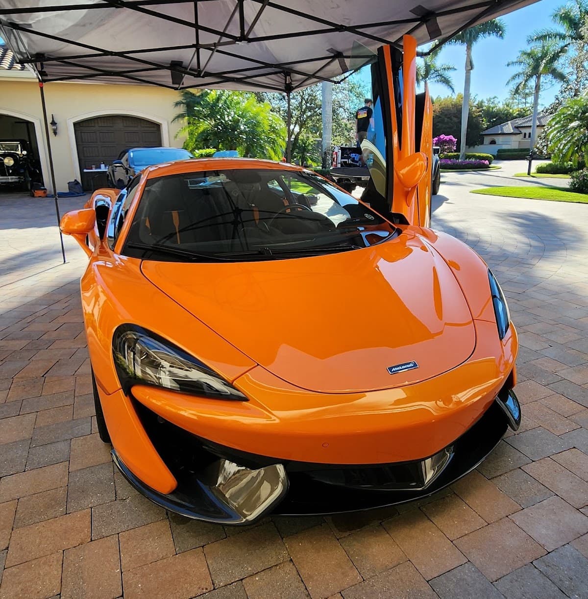 Carbon Coatings thumbnail 3