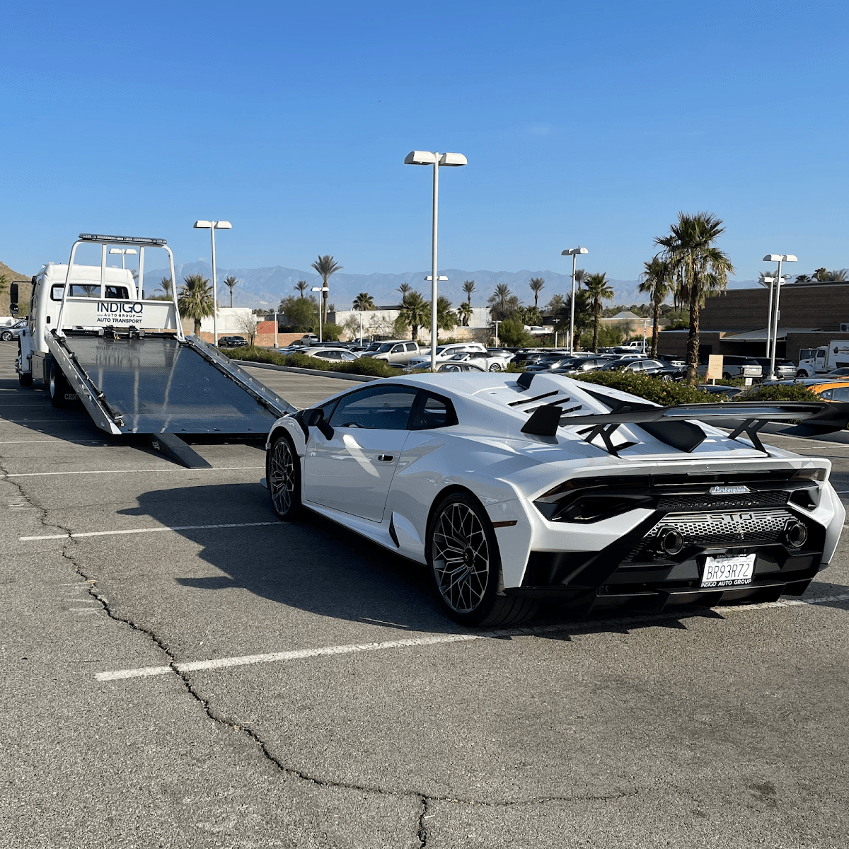 Dealers Choice Auto Transport thumbnail 3