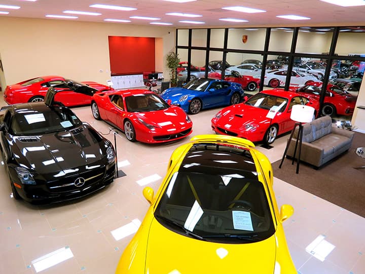 palm beach exotics