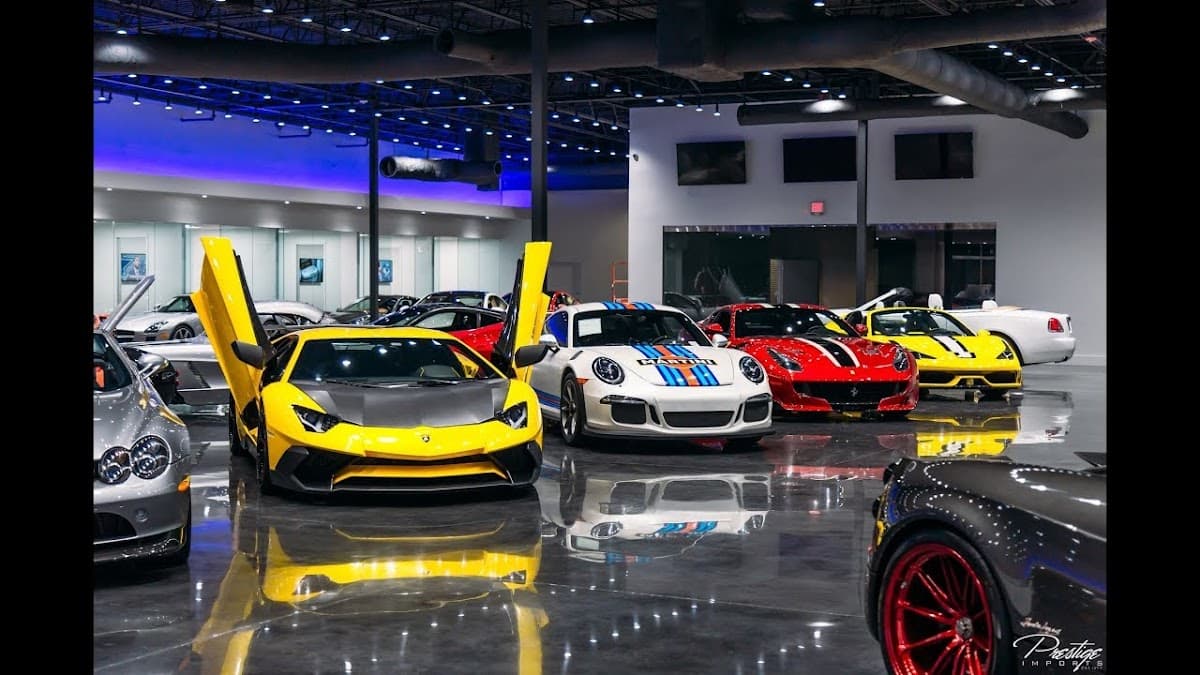 palm beach exotics thumbnail 3