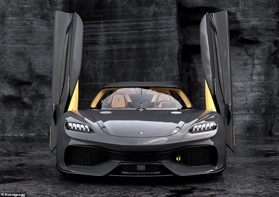 palm beach exotics thumbnail 4