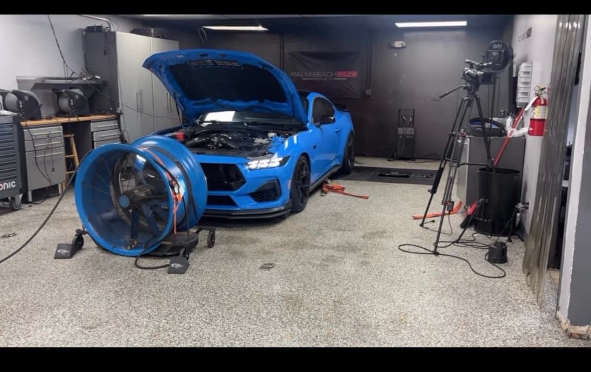 Palm Beach Dyno thumbnail 2