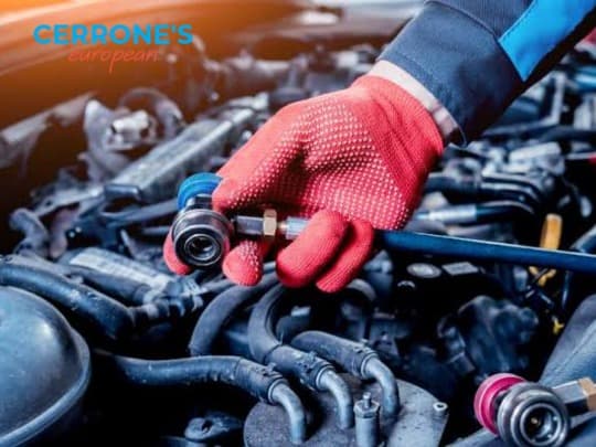 Cerrone's European Auto Specialists thumbnail 2
