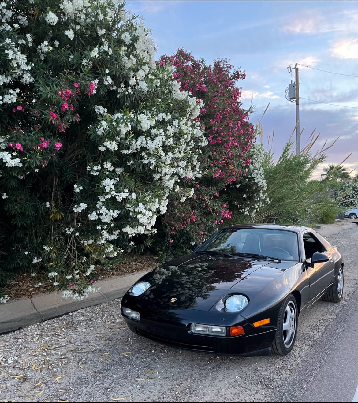 Exotic Motorwerks thumbnail 3