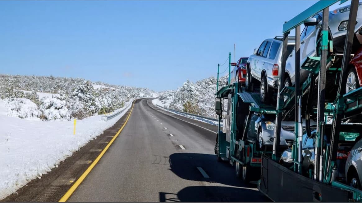 Auto Transport Professionals, exotic & classic specialist in Naples